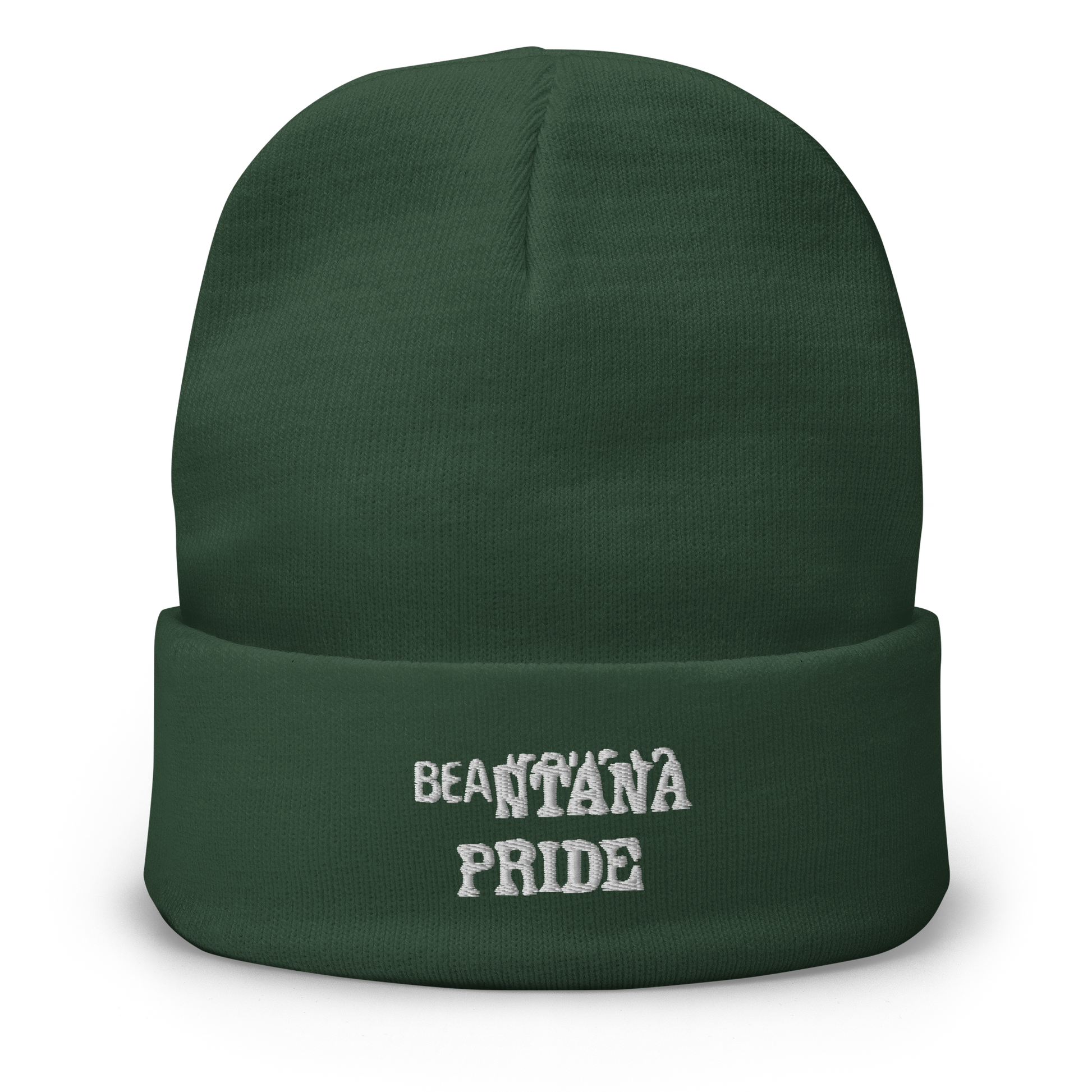 dark-green beantana beanie with embroidery