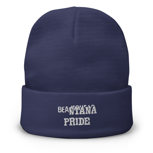 navy beantana beanie with embroidery