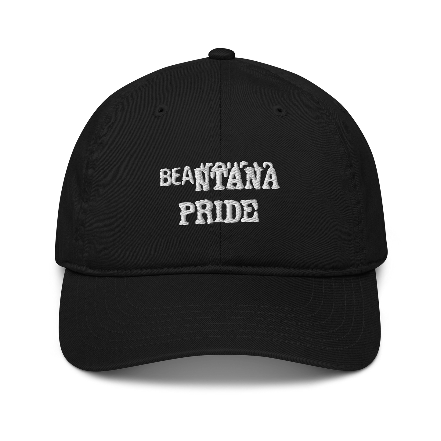 black  beantana baseball cap from the front