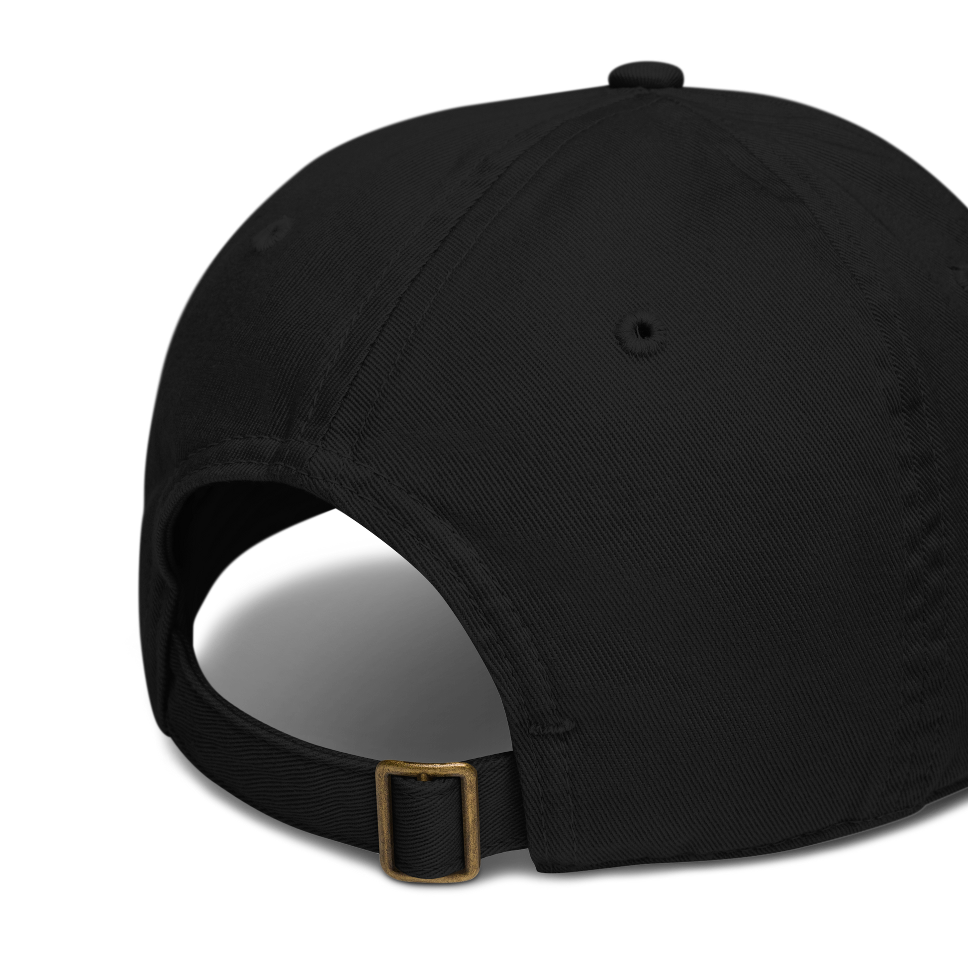 black beantana baseball cap from the back