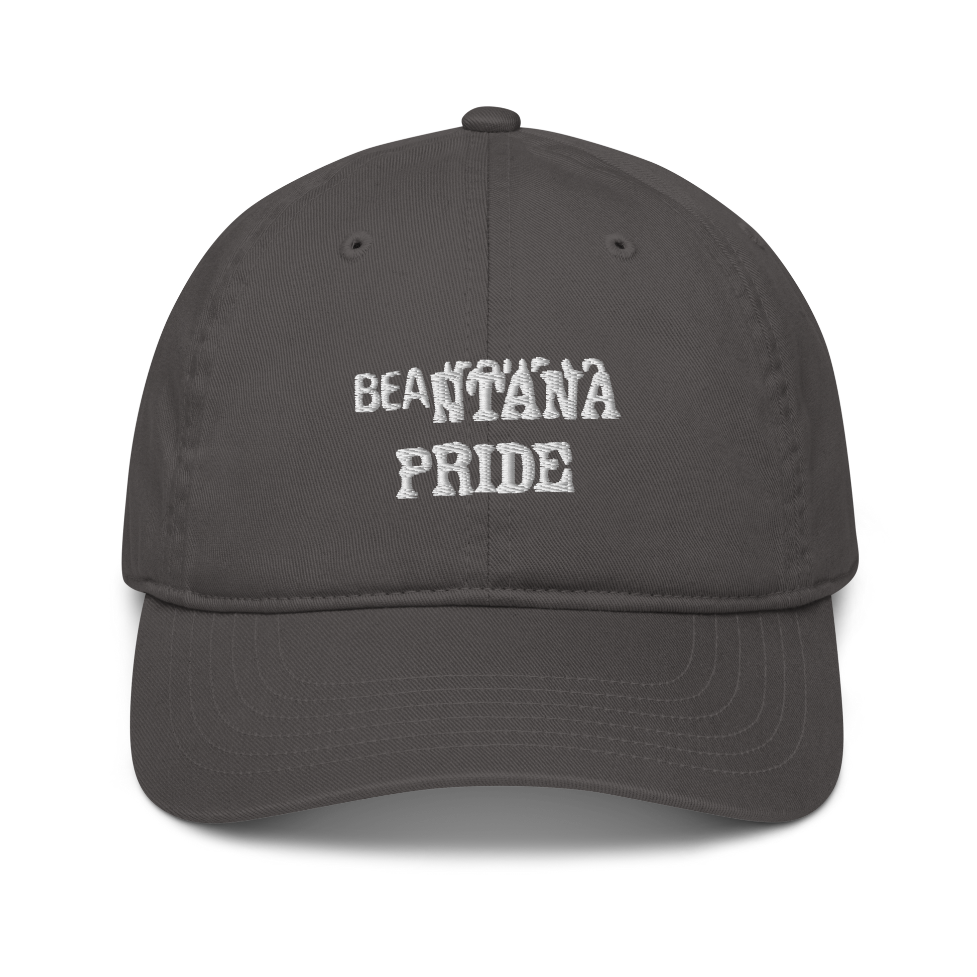 charcoal beantana baseball cap from the front