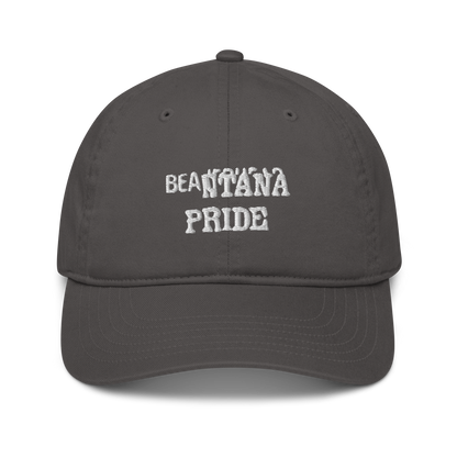 charcoal beantana baseball cap from the front