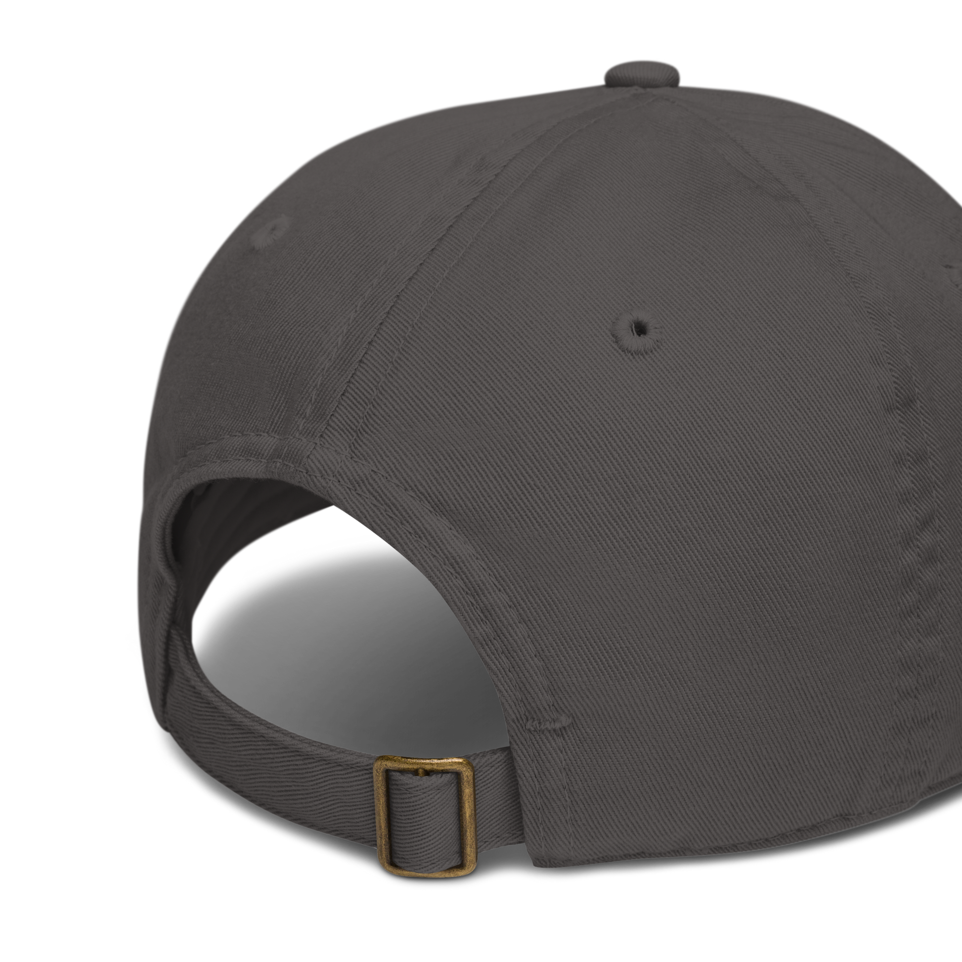 charcoal beantana baseball cap from the back