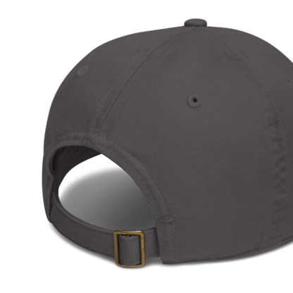 charcoal beantana baseball cap from the back