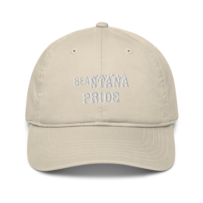 oyster beantana baseball cap from the front