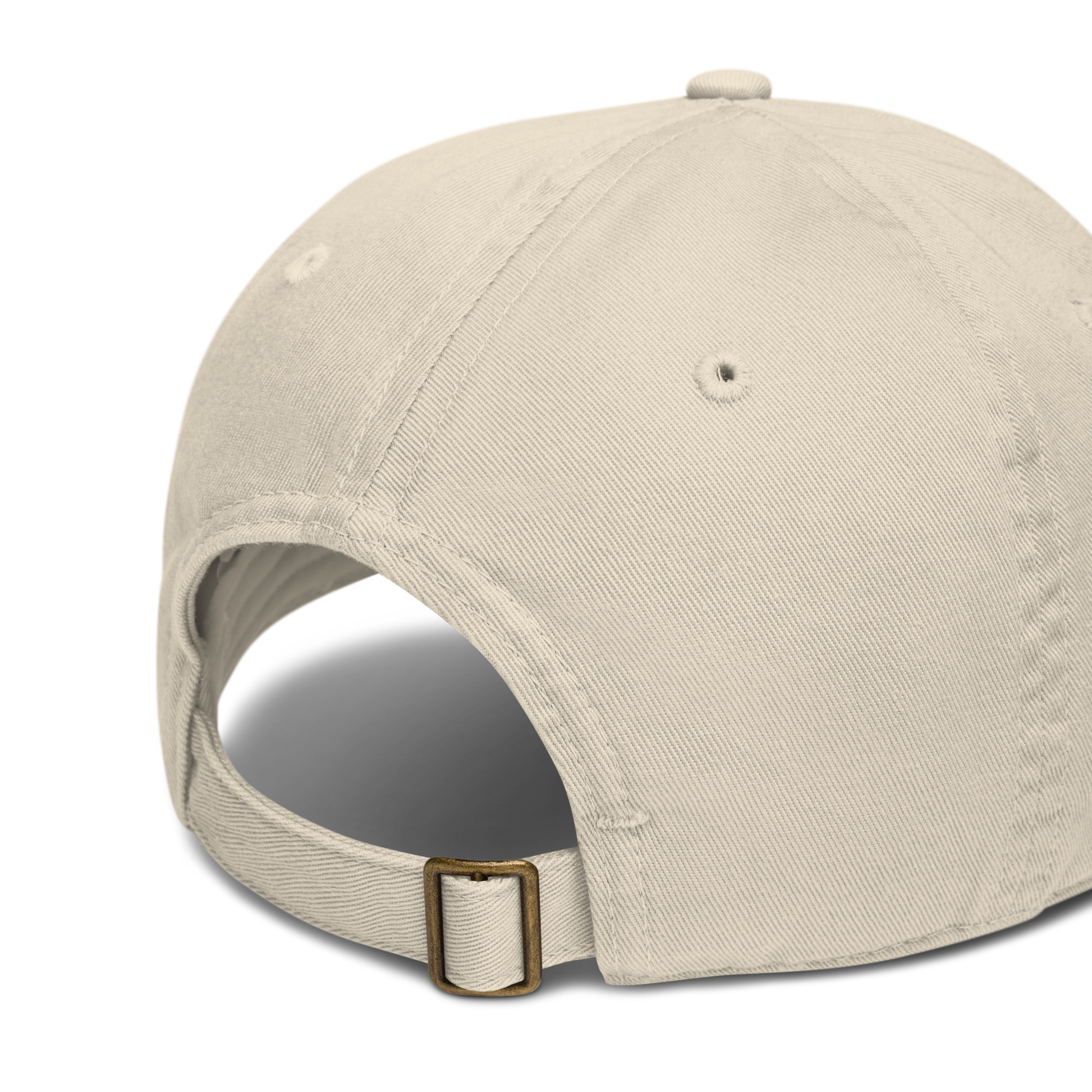 oyster beantana baseball cap from the back