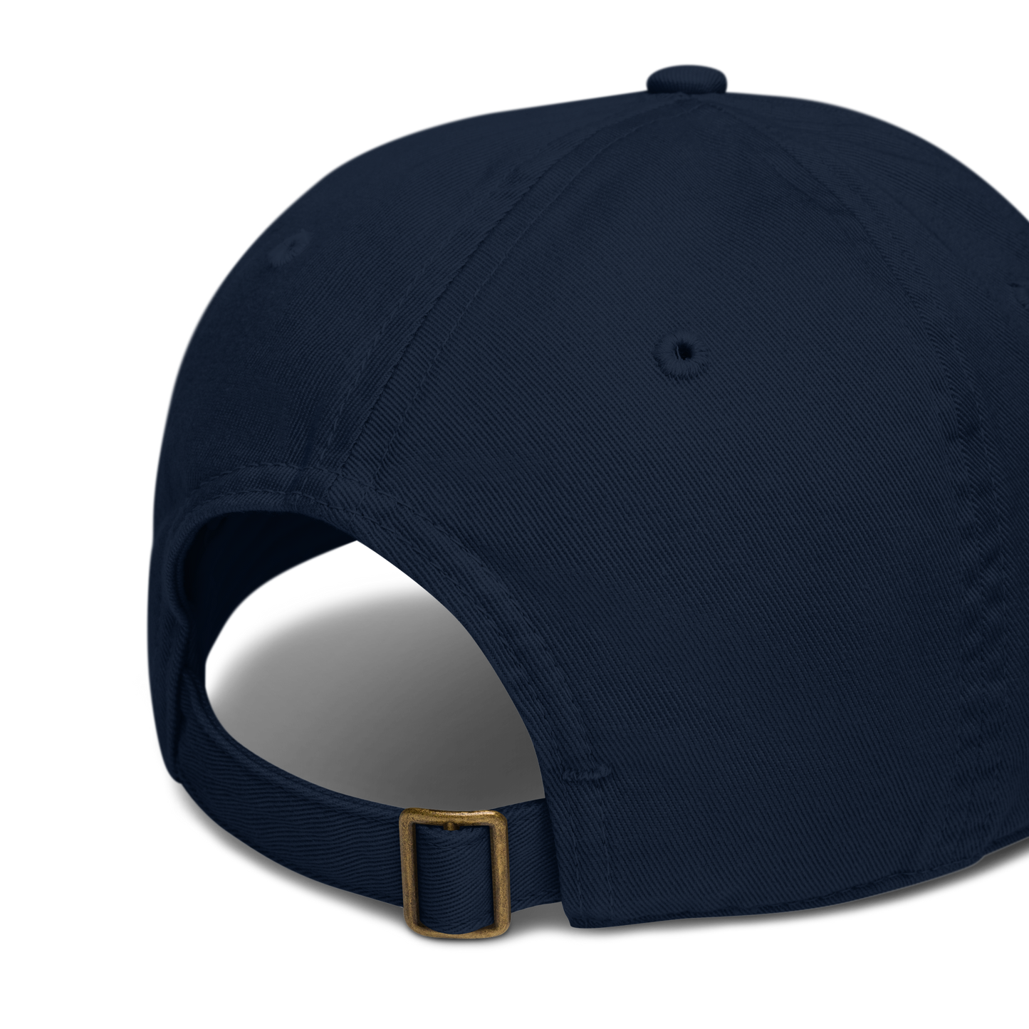 pacific beantana baseball cap from the back