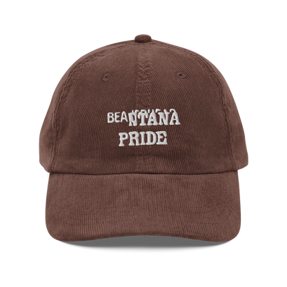 brown beantana vintage corduroy cap from the front