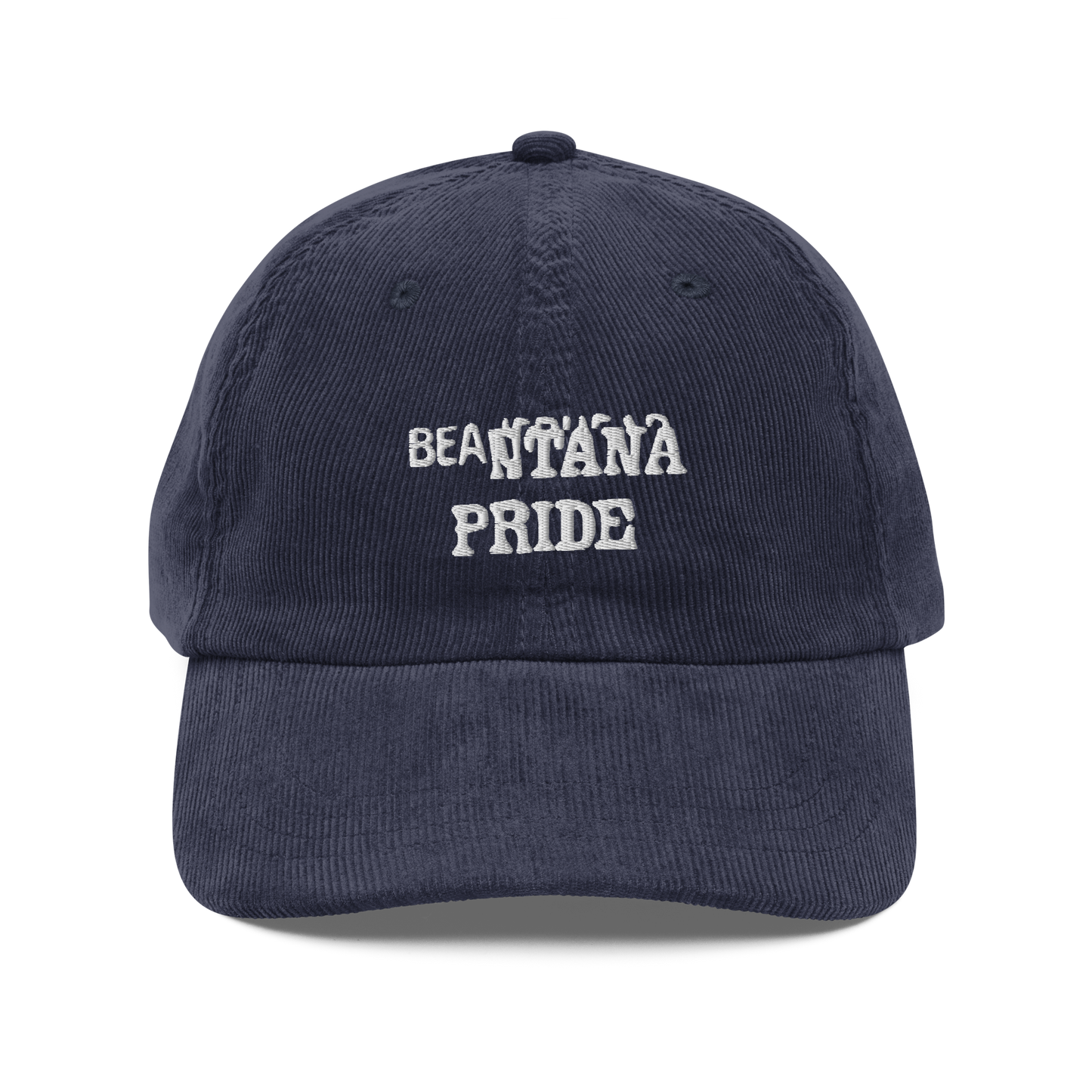 navy beantana vintage corduroy cap from the front